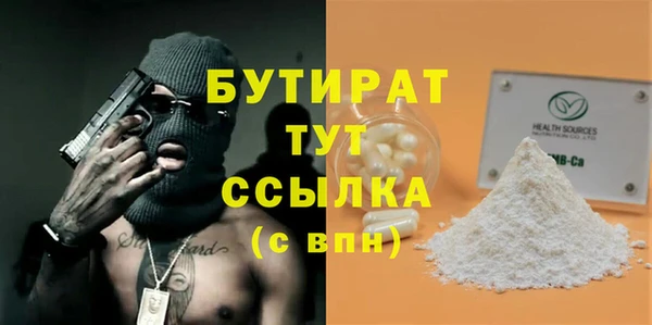 индика Сосновка