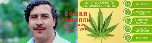 марки nbome Белокуриха
