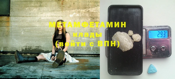 индика Сосновка