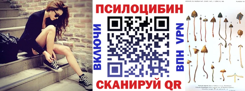 Псилоцибиновые грибы ЛСД  купить   hydra рабочий сайт  Володарск 